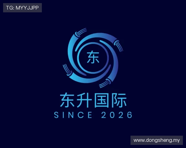 介绍东升国际